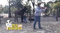轻松时刻 第二季 为你们的娱乐精神点赞 34