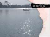 生财有道 洱海弓鱼的财富梦想
