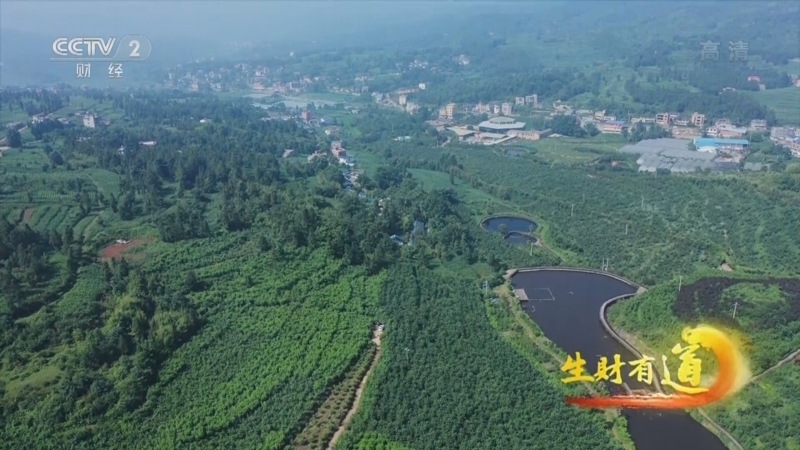 生财有道 《生财有道》 20220801 夏日经济系列——扎根山村 创业者正青春