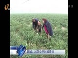 山东新闻联播 《山东新闻联播》 20151101