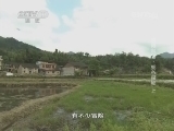 地理中国 《地理中国》 20131221 极限科考-蛇谷探秘（上）