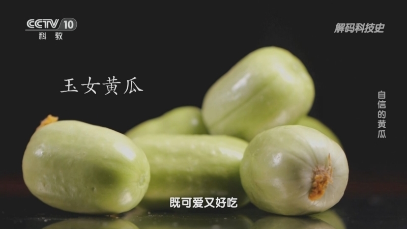 解码科技史 《解码科技史》 20230617 了不起的蔬菜——自信的黄瓜