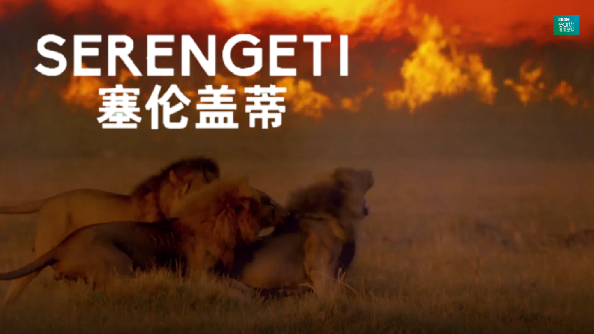 干旱和火灾