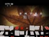 地理中国 地理中国 2011年 第87期 远古的谜团