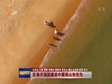 山东新闻联播 《山东新闻联播》 20180315
