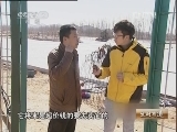 生财有道 [生财有道]藏獒情缘(20130205)