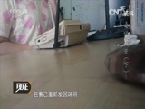见证 《见证》 20150927 猎手 毒狼覆灭（下）