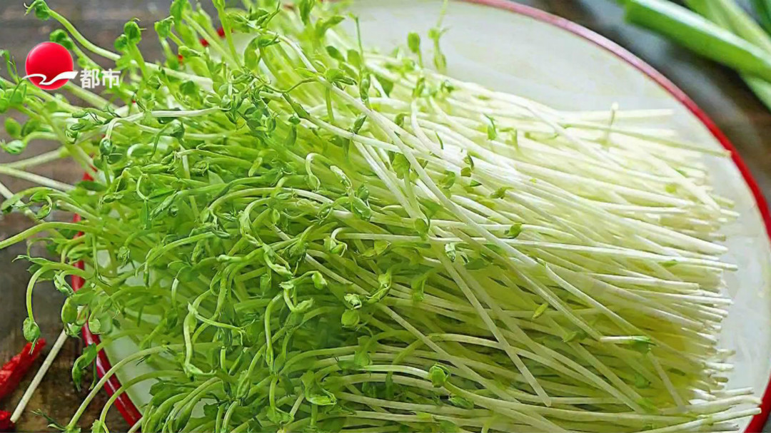 夏食芽秒益健康