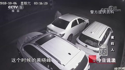 今日说法 《今日说法》 20181229 夜归人