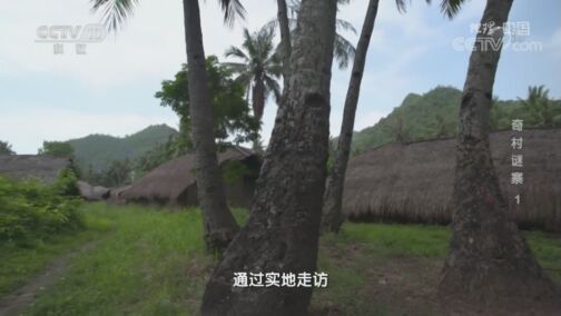 地理中国 《地理·中国》 20200810 奇村谜寨1