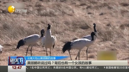 说天下 黑颈鹤听说过吗？背后也有一个女孩的故事