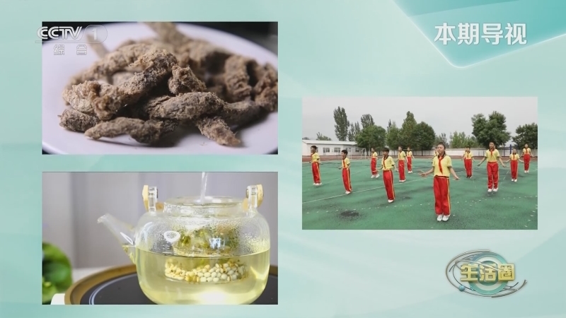 生活圈 《生活圈》 20230605