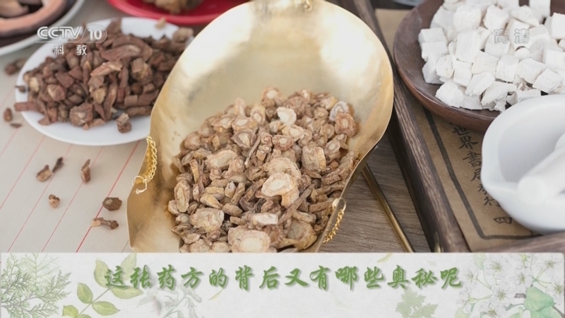 百家讲坛 《百家讲坛》 20220810 传奇古方 18 固表止汗玉屏风散