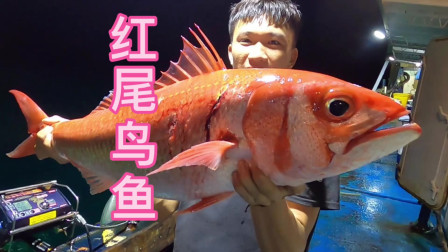 160米水深，这种钓法太爽了吧，阿镭放竿下去就中大鱼
