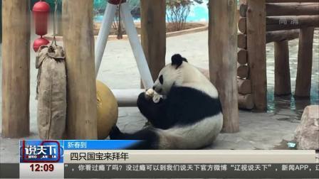 说天下 创新打造，让年味十足