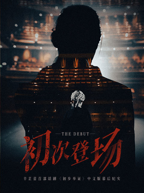 初次登场 海报