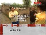 地理中国 《地理中国》 20111022 白发村之谜