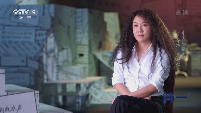 《中国想象力》 导演 王潮歌