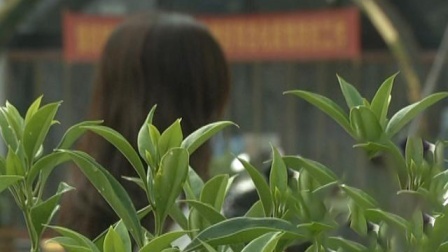 姑娘花28800元相亲 男方40岁还有俩娃