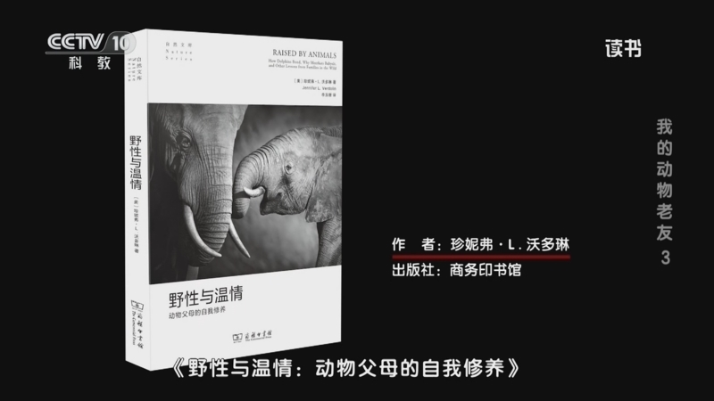 读书 《读书》 20260422 珍妮弗·L.沃多琳 《野性与温情：动物父母的自我修养》 我的动物老友3