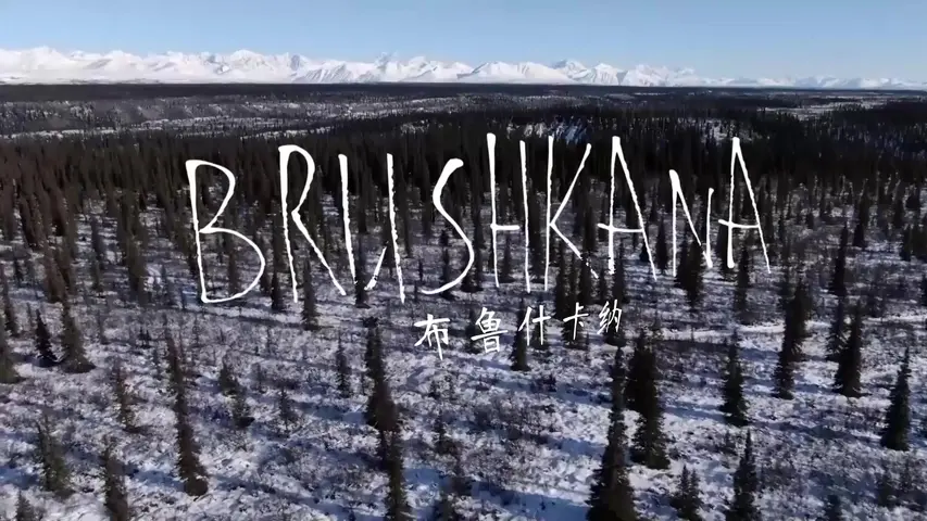 《零度以下的生活第八季》第2集