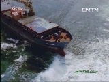 人与自然 《人与自然》 20130714 自然发现 狂野加勒比海 — 珊瑚礁与沉船（下）