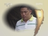 生财有道 [生财有道]流动的养鸡场（20120613）