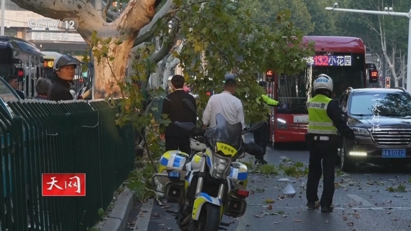 《天网》 20251204 二次对证