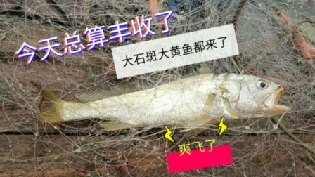 南澳岛赶海日记 小伙近海捕鱼丰收，又是大石斑鱼又是大黄鱼，一天出海卖了5千多
