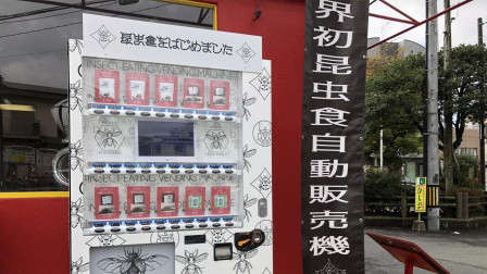 半岛奇闻 日本推出昆虫零食自动贩卖机，呼吁人们多吃昆虫，生意十分火爆！