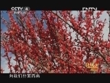 远方的家 北纬30°·中国行 第一百七十九集 那曲嘉黎：走进羌塘上的小江南 《远方的家》 20130312