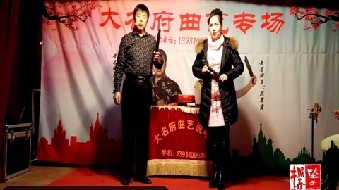河南坠子 河南坠子 大宋奇冤