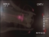动物世界 《动物世界》 20160131 起舞弄清影（二）