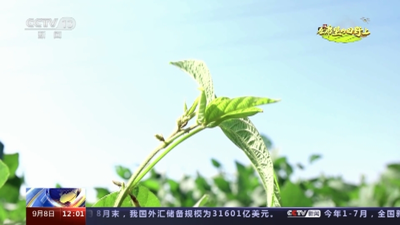 新闻30分 《新闻30分》 20230908