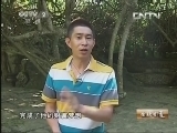 生财有道 《生财有道》 20130809 闻鸡起舞富黎乡
