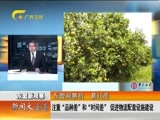 新闻夜总汇 《新闻大通道》 20160328