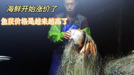 南澳岛赶海日记 海鲜的价格已经开始上涨了，估计休渔期会翻倍，趁机会捕多些渔获