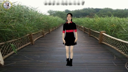 老歌广场舞欣赏《伤心城市》DJ情歌，好听极送给你