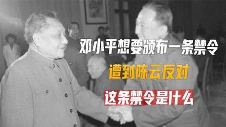红墙往事 80年邓小平想要颁布一条禁令，却遭陈云反对，这条禁令是什么