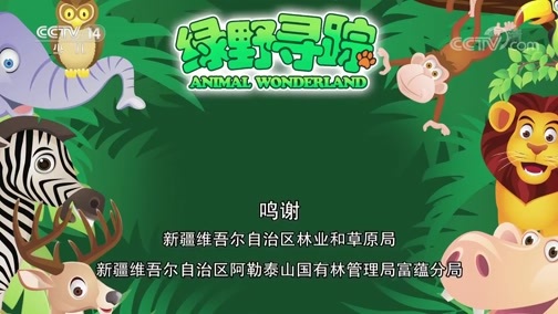 绿野寻踪 《绿野寻踪》 20190313 新疆之行