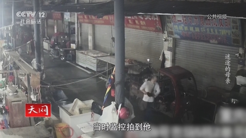 天网 《天网》 20250428 迷途的母亲