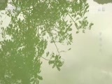 地理中国 《地理中国》 20171119 天坑奇观·罗甸奇坑
