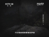 地理中国 《地理中国》 20140323 探秘野狼谷（下）