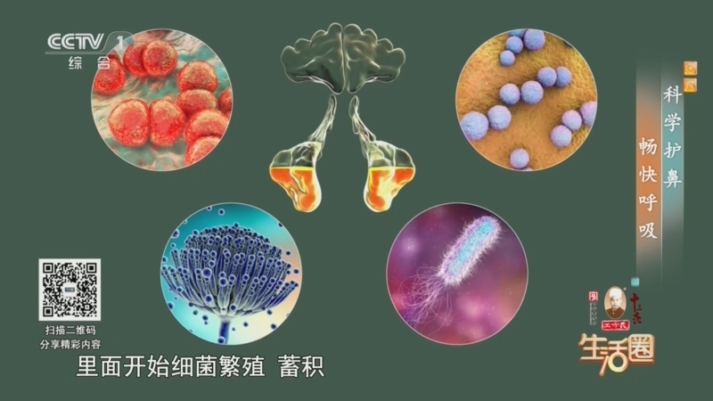 生活圈 《生活圈》 20260821 科学护鼻 畅快呼吸