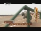 谁是终极英雄 《谁是终极英雄》 20150125 2014年度观众最喜爱的终极英雄评选