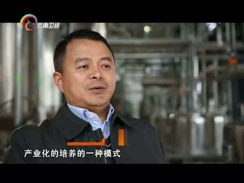 情暖人间 《情暖人间》 20160314 筑梦云南影像志 情洒高原