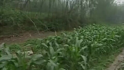 经典传奇 诡异怪坑之谜
