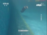 原来如此 《原来如此》 20180401 水中潜浮
