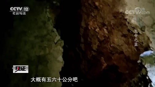 见证 《见证》 20191122 逐梦火焰蓝（四）