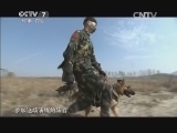 军事科技 《军事科技》 20150207 特战神犬